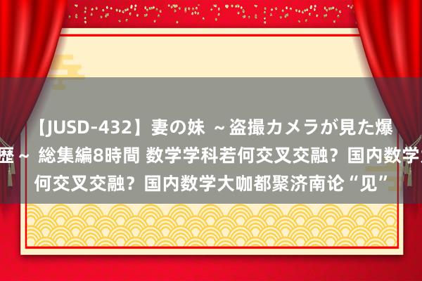 【JUSD-432】妻の妹 ～盗撮カメラが見た爆乳の妹を襲う男の遍歴～ 総集編8時間 数学学科若何交叉交融？国内数学大咖都聚济南论“见”