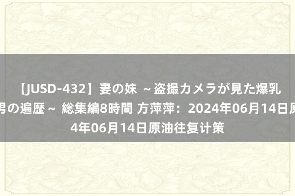 【JUSD-432】妻の妹 ～盗撮カメラが見た爆乳の妹を襲う男の遍歴～ 総集編8時間 方萍萍：2024年06月14日原油往复计策