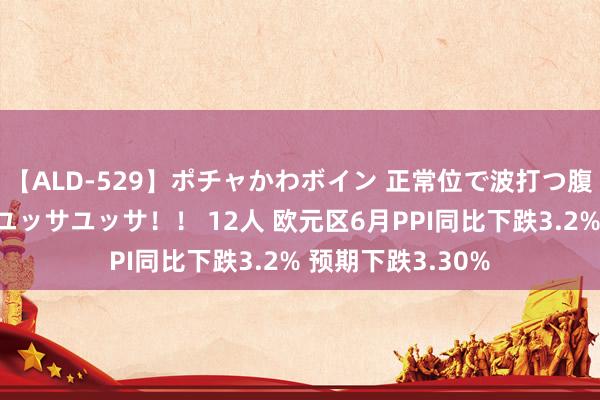 【ALD-529】ポチャかわボイン 正常位で波打つ腹肉！！騎乗位でユッサユッサ！！ 12人 欧元区6月PPI同比下跌3.2% 预期下跌3.30%