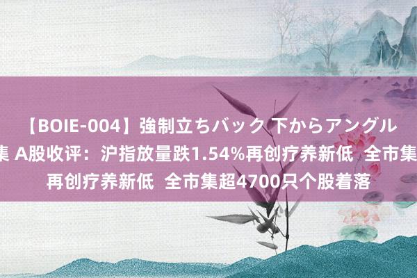 【BOIE-004】強制立ちバック 下からアングル巨乳激ハメ激揺れ集 A股收评：沪指放量跌1.54%再创疗养新低  全市集超4700只个股着落