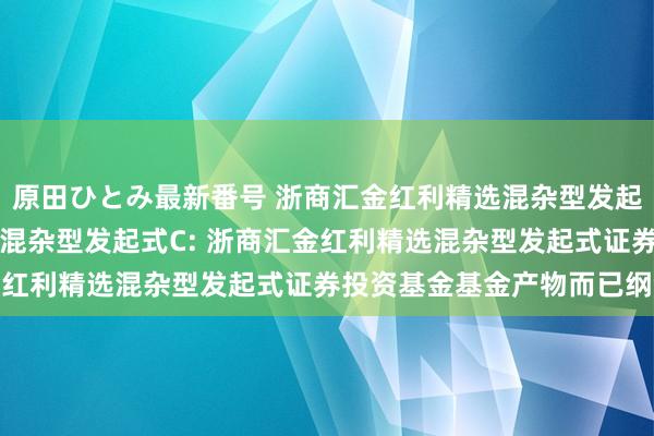 原田ひとみ最新番号 浙商汇金红利精选混杂型发起式A,浙商汇金红利精选混杂型发起式C: 浙商汇金红利精选混杂型发起式证券投资基金基金产物而已纲领