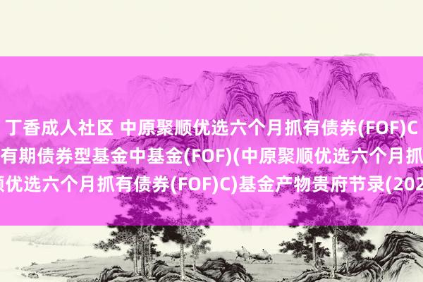 丁香成人社区 中原聚顺优选六个月抓有债券(FOF)C: 中原聚顺优选六个月抓有期债券型基金中基金(FOF)(中原聚顺优选六个月抓有债券(FOF)C)基金产物贵府节录(2024-08-05)