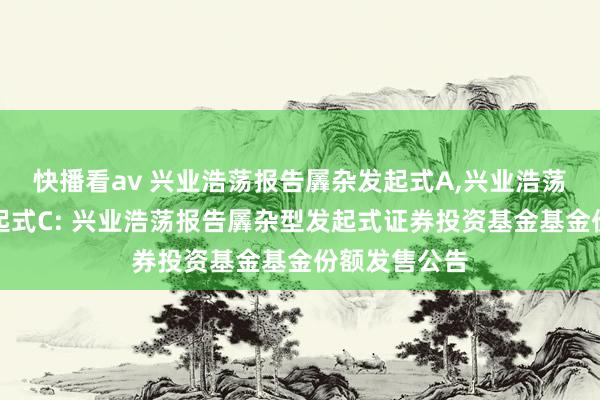 快播看av 兴业浩荡报告羼杂发起式A,兴业浩荡报告羼杂发起式C: 兴业浩荡报告羼杂型发起式证券投资基金基金份额发售公告