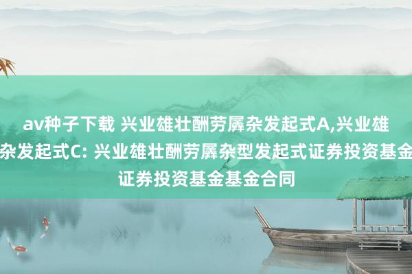 av种子下载 兴业雄壮酬劳羼杂发起式A,兴业雄壮酬劳羼杂发起式C: 兴业雄壮酬劳羼杂型发起式证券投资基金基金合同