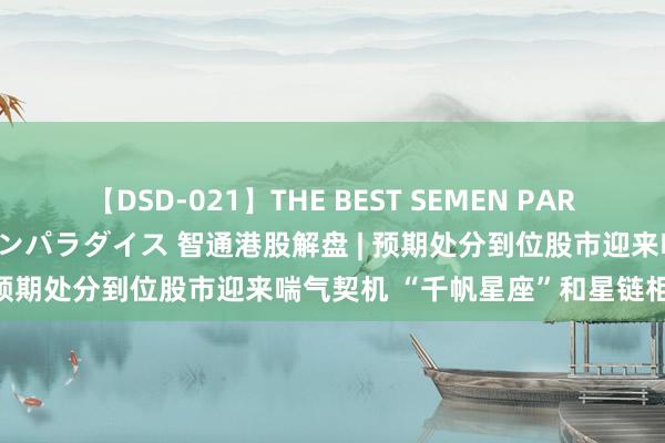 【DSD-021】THE BEST SEMEN PARADISE 美女12人とザーメンパラダイス 智通港股解盘 | 预期处分到位股市迎来喘气契机 “千帆星座”和星链相抗衡