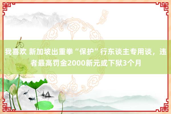 我喜欢 新加坡出重拳“保护”行东谈主专用谈，违者最高罚金2000新元或下狱3个月