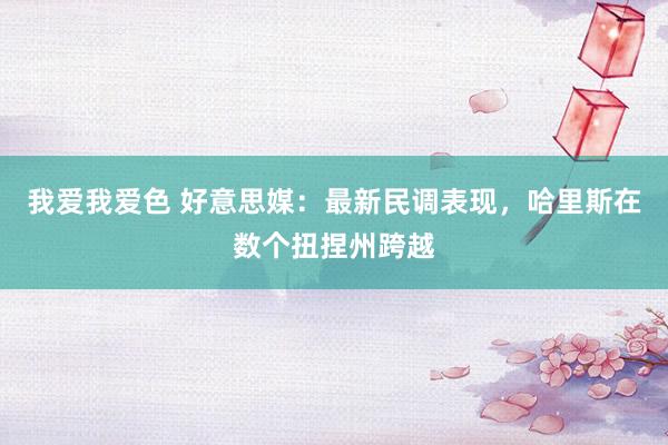 我爱我爱色 好意思媒：最新民调表现，哈里斯在数个扭捏州跨越