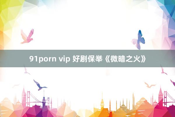 91porn vip 好剧保举《微暗之火》