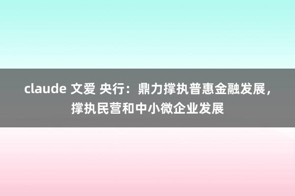 claude 文爱 央行：鼎力撑执普惠金融发展，撑执民营和中小微企业发展