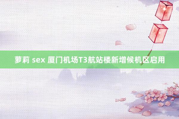 萝莉 sex 厦门机场T3航站楼新增候机区启用