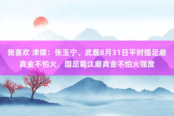 我喜欢 津媒：张玉宁、武磊8月31日平时插足磨真金不怕火，国足裁汰磨真金不怕火强度