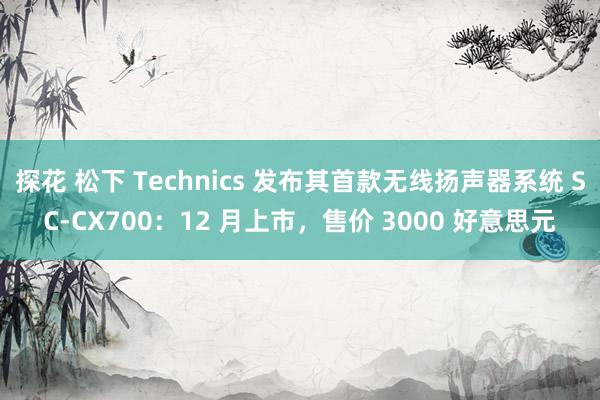 探花 松下 Technics 发布其首款无线扬声器系统 SC-CX700：12 月上市，售价 3000 好意思元