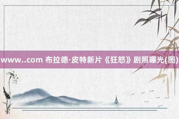 www..com 布拉德·皮特新片《狂怒》剧照曝光(图)