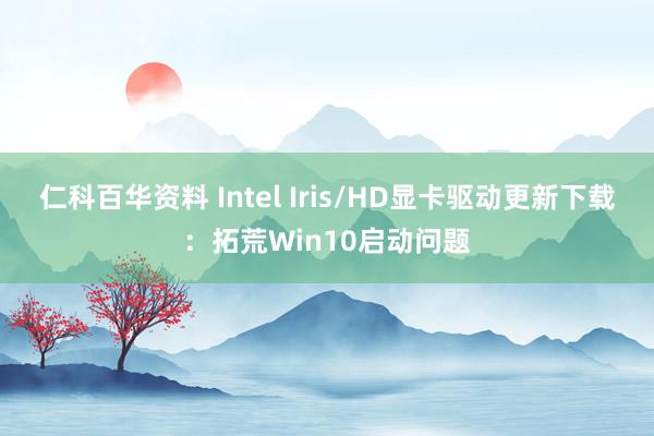 仁科百华资料 Intel Iris/HD显卡驱动更新下载：拓荒Win10启动问题