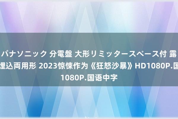 パナソニック 分電盤 大形リミッタースペース付 露出・半埋込両用形 2023惊悚作为《狂怒沙暴》HD1080P.国语中字