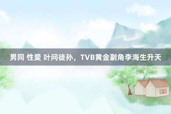 男同 性愛 叶问徒孙，TVB黄金副角李海生升天