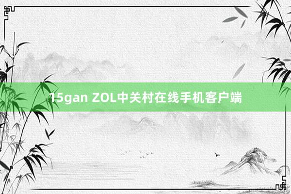 15gan ZOL中关村在线手机客户端