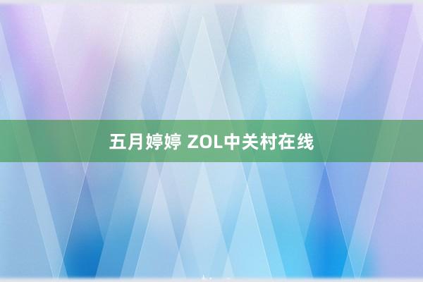 五月婷婷 ZOL中关村在线